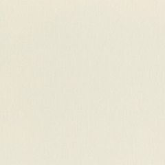 Обои Rasch Wall Textures Xl III 1.06x10.05 (979367)