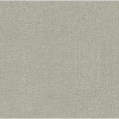 Обои виниловые Decori Decori Zen 10,05x1,06 м (72925)