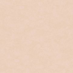 Обои флизелиновые Milassa (Миласса) Status vol 5 10,05х1 м (EST9001/2)