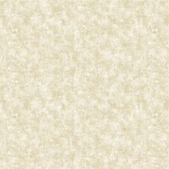 Обои бумажные Bruno Zoff Gold 10,05х1,06 м (60125-2)