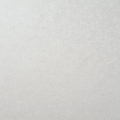 Обои Артекс Dolores 1.06x10.05 (AR10917-01)