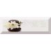 Декор Absolut Keramika Decor Japan Tea 04 B 10х30 см