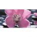 Декор Нефрит-Керамика Орхидея черный 25х50 см (04-01-1-10-04-04-162-1)