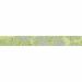 Керамическая плитка Керлайф Бордюр 50,5х6,2 см Splendida Verde 1C (905504)