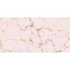 Декор New Trend (Нью Тренд) Golden Tint 24,9х50 см DW9GTI02