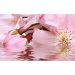 Декоративный массив Belleza Букет розовый 25х40 см (07-00-5-09-01-41-664)