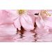 Декоративный массив Belleza Букет розовый 25х40 см (07-00-5-09-01-41-665)