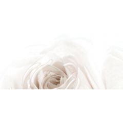 Декор Belleza Нежность бежевый А 25х50 см (04-01-1-10-05-11-350-1)