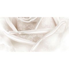 Декор Belleza Нежность бежевый В 25х50 см (04-01-1-10-05-11-350-2)