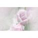 Декор Belleza Розовый свет-1 25х40 см (04-01-1-09-03-41-356-0)