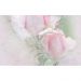 Декор Belleza Розовый свет-2 25х40 см (04-01-1-09-03-41-357-0)