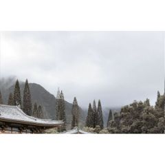 Декор Golden Tile 3 Бамбук бежевый 25х40 см (Н71331)
