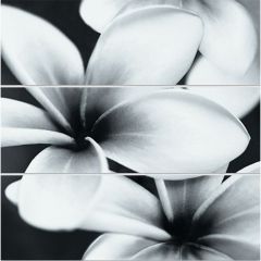 Спецэлемент Meissen Pret-a-Porter стеклянный Universal Glass Flowers 75x75 см (UG2U093D)