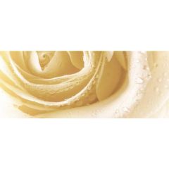 Декор Cerrol Syntia Rose 3 20х50 см