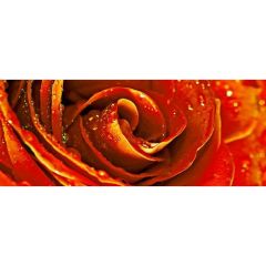 Декор Cerrol Syntia Rose 1 20х50 см