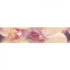 Бордюр Дельта Керамика Blossom B200D183 4,5х20 см