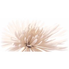 Декор Cersanit Emma (C-EA2L051D) 29,7х60 см