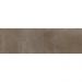 Плитка настенная Kerama marazzi Тракай коричневый светлый глянцевый 8.5х28.5 см (9039)