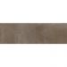 Плитка настенная Kerama Marazzi (Керама Марацци) Тракай коричневый светлый глянцевый 8.5х28.5 см (9039)