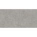 Керамогранит Vitra Newcon 60х120 см Серебристо-Серый Матовый R10A Ректификат K945778R