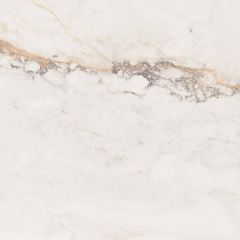 Керамогранит Pamesa Ceramica Cr.Pisa Gold Compacglass 60х60 см