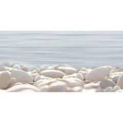 Декор Alma ceramica Del Mare 249х500х7.5 мм DWU09DLM604