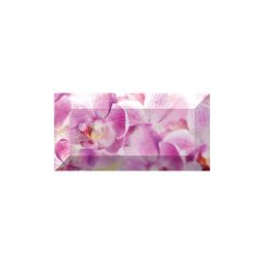 Бордюр Ceramica Classic Impression рельефный br1020D190-1 20х10 см
