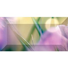 Бордюр Ceramica Classic Crocus рельефный br1020D286-1 20х10 см