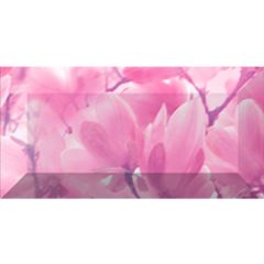 Бордюр Ceramica Classic Magnolia рельефный br1020D297-2 20х10 см