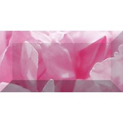 Бордюр Ceramica Classic Peony рельефный br1020D281-1 20х10 см