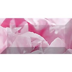 Бордюр Ceramica Classic Peony рельефный br1020D281-2 20х10 см