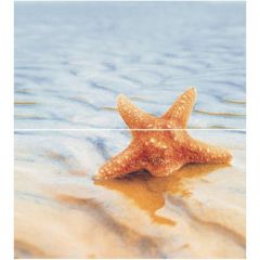 Панно Ceradim Dec Starfish 1 Panno КПН16Starfish1 50х45 см компл.