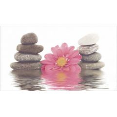 Декор Ceradim Dec Stones 1 КВС16Stones1 25х45 см