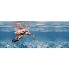 Декор Ceradim Ocean Turtle 20х50 см