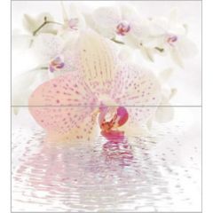 Панно Ceradim Dec Orchid Panno КПН16Orchid 50х45 см компл.