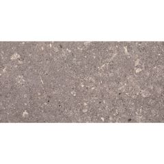 Настенная плитка Paradyz Aragorn Grys 30х60 см