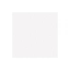 Настенная плитка Ape Ceramica Blanco Brillo 20х20 см