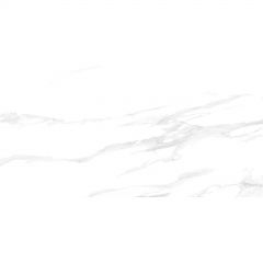 Керамогранит Delacora (Делакора) Statuario Silver Matt 60х120 см 60120GP42STA00