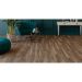 Ламинат Kastamonu Sunfloor 8/33 Дуб Берлин (Oak Berlin), Sf60