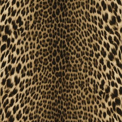 Обои виниловые Roberto Cavalli (Роберто Кавалли) 7 Леопардовый принт коричневый яркий 10,5х1,06 м (18029)