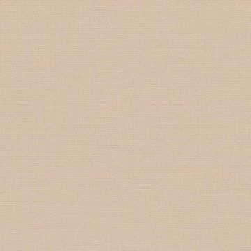 Обои виниловые DID Trend Art 10,05х1,06 м (R75027-5)