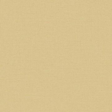 Обои виниловые DID Trend Art 10,05х1,06 м (R75027-6)