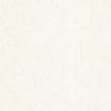 Обои виниловые Аспект Эдем 10,05х1,06 м (70320-14)