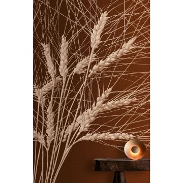 Панно Fresq (Фреск) Classic 2,9х9,5 м (COLOSS) м2