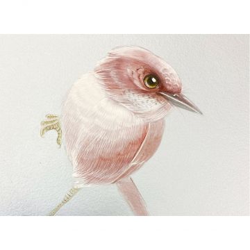 Панно Fresq (Фреск) Classic 2,9х9,5 м (GO.05) м2