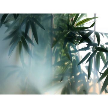 Обои виниловые на флизелине Design Studio 3D (Дизайн Студио 3Д) За стеклом Бамбук в туманной дымке Бесшовная Фреска Classic (TG-007)