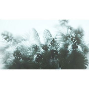 Обои виниловые на флизелине Design Studio 3D (Дизайн Студио 3Д) За стеклом Тропические листья в дымке Канвас (TG-008)