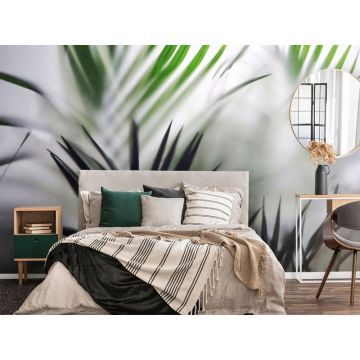 Обои виниловые на флизелине Design Studio 3D (Дизайн Студио 3Д) За стеклом Листья папоротника за стеклом Песок (TG-010)