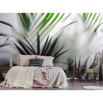 Обои виниловые на флизелине Design Studio 3D (Дизайн Студио 3Д) За стеклом Листья папоротника за стеклом Канвас (TG-010)