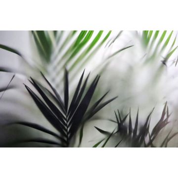 Обои виниловые на флизелине Design Studio 3D (Дизайн Студио 3Д) За стеклом Листья папоротника за стеклом Акварель (TG-010)